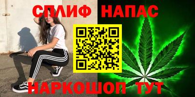 ПСИЛОЦИБИНОВЫЕ ГРИБЫ Донской
