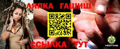 прущие грибы Дубна
