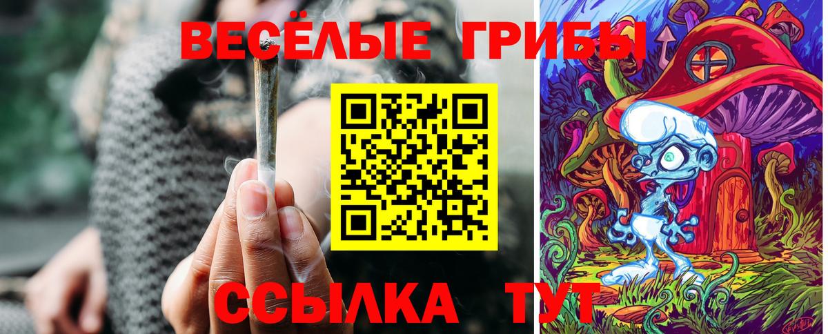 Мелеуз  Галлюциногенные грибы Psilocybine cubensis  закладка  Вход с VPN 